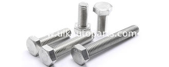 304 Stainless Steel Hex Bolt