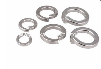 Stainless Steel Spring Gasket
