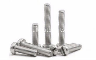 Stainless Steel Slotted Cheese Head Screw