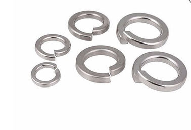 Stainless Steel Spring Gasket