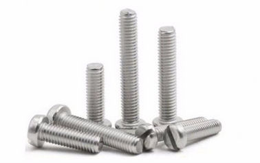 Stainless Steel Slotted Cheese Head Screw