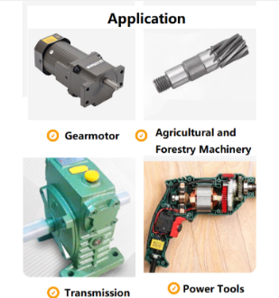 High Wear Resistance and Smooth Performance Transmission Parts Customized Small Module Steel Spur Gear Pinion