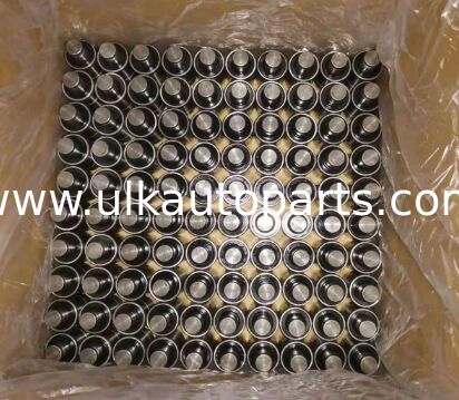 Automotive Chrome Steel Automobile Deep Groove Ball Bearings Water Pump Shaft Bearing with ZZ Seals and Grease Lubrication