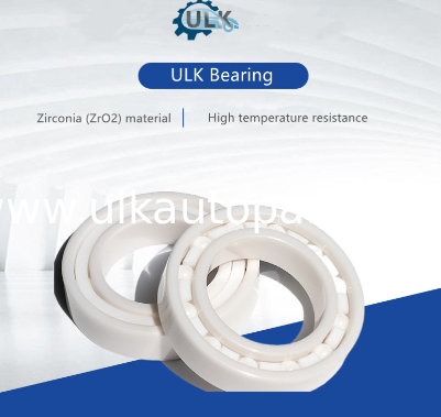 6000 6001 6002 6003 Full Zirconia Ceramic Ball Bearing, Non-Magnetic & Corrosion Resistant Bearing for Medical and Food Processing Industry